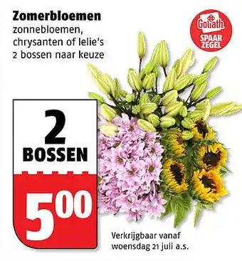 Poiesz Zomerbloemen aanbieding