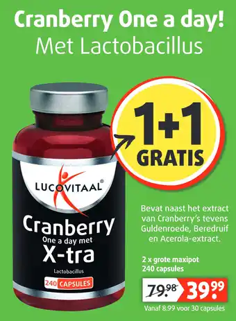 Lucovitaal Cranberry One a day met X-tra aanbieding