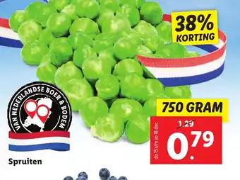 Lidl Spruiten 750g aanbieding