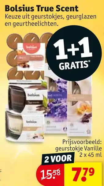 Kruidvat Bolsius true scent aanbieding