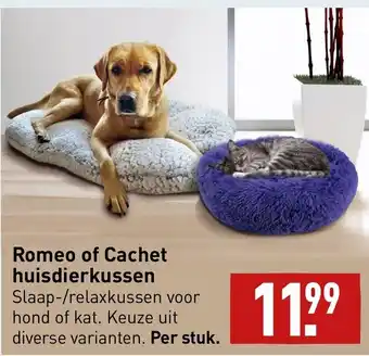 ALDI Romeo of cachet huisdierkussen aanbieding