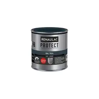 Praxis Renaulac lak protect ral7024 hoogglans 250ml aanbieding