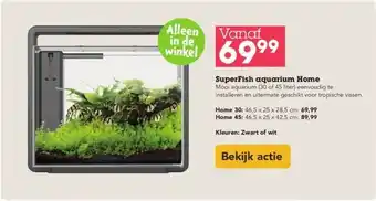 Discus Superfish aquarium home aanbieding