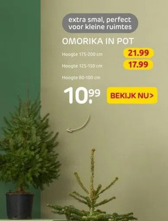 Praxis Omorika in pot aanbieding