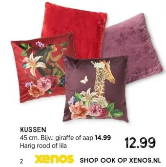 Xenos Kussen aanbieding