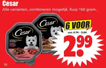 Dirk Cesar aanbieding