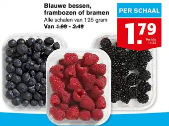 Hoogvliet Blauwe bessen, frambozen of bramen aanbieding