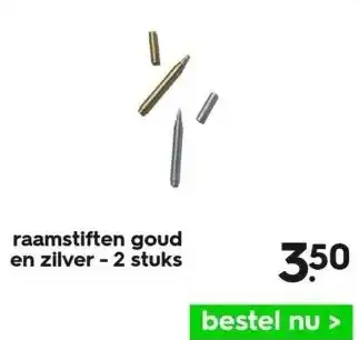 HEMA Raamstiften goud en zilver - 2 stuks aanbieding