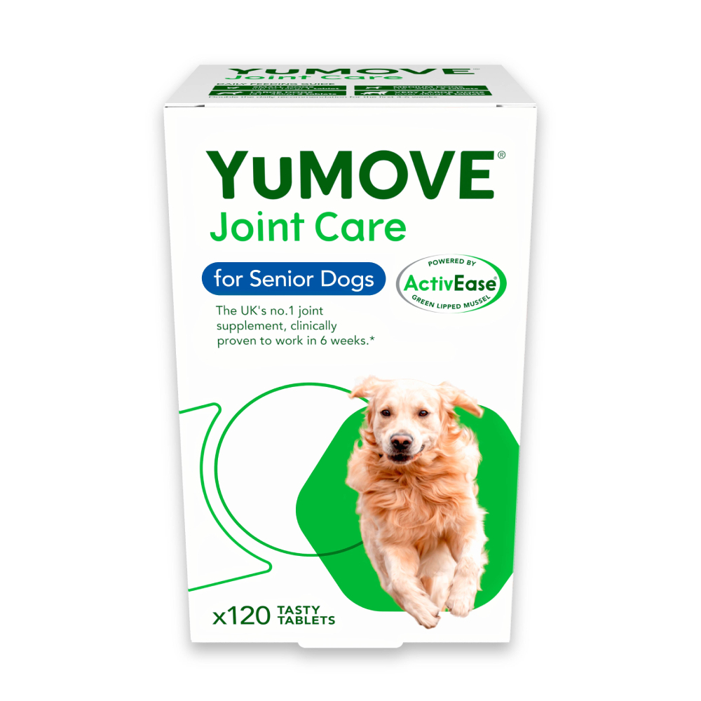 120 tablets yumove senior dog lintbells supplements aanbieding bij Zooplus