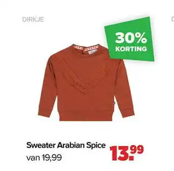 Baby-Dump Sweater arabian spice dirkje aanbieding