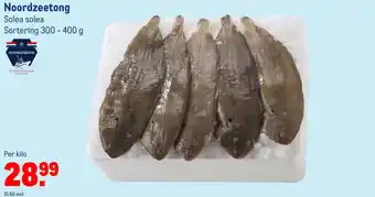 Makro Noordzeetong aanbieding