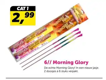 Vuurwerkwinkel Vlaardingen 6 Morning glory aanbieding