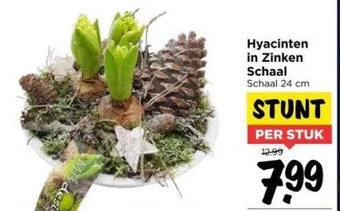 Vomar Voordeelmarkt Hyacinten in zinken schaal aanbieding