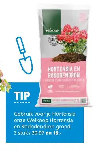 Welkoop Welkoop Hortensia en Rodondendron grond aanbieding