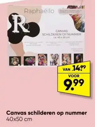 Big Bazar Canvas schilderen op nummer 40x50 cm aanbieding