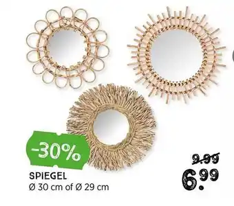 Xenos Spiegel aanbieding