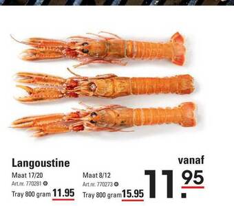 Sligro Langoustine aanbieding