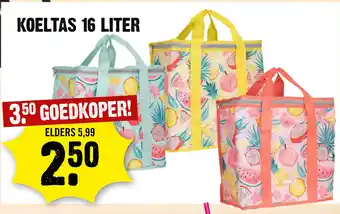 Dirck 3 Koeltas 16L aanbieding