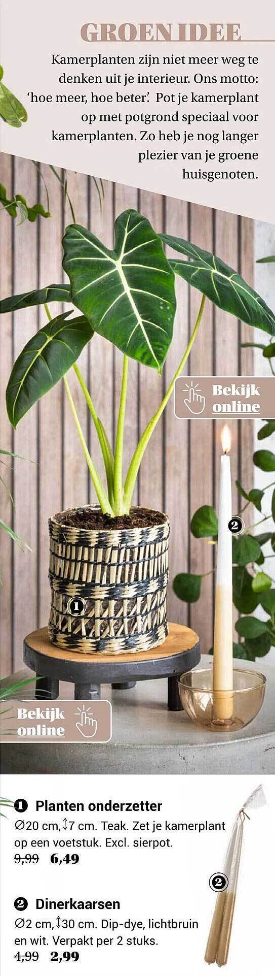 Plant Stand with Wheels Plantenroller, rolplank, planten, onderzetter, bloempot, beweegbare planten, staande pallet voorkomen effectief het lekken van overtollig water en bodem
