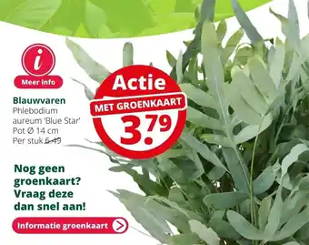 GroenRijk Blauwvaren aanbieding