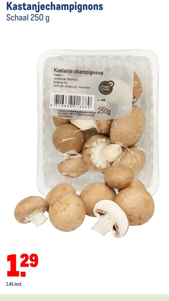 Makro Kastanjechampignons aanbieding