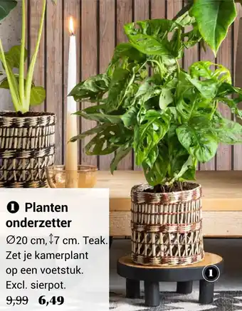 TuinWereld Planten onderzetter aanbieding