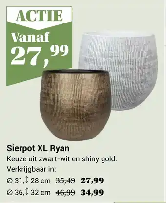 TuinWereld Sierpot xl ryan aanbieding