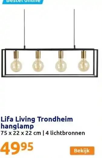 Action Lifa living trondheim hanglamp aanbieding