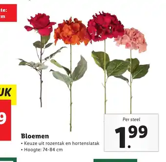 Lidl Bloemen aanbieding