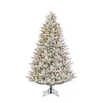 Wehkamp Black box trees verlichte kerstboom frasier (h215 x ø145cm) aanbieding