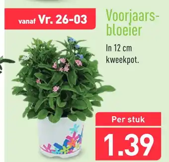 ALDI Voorjaars- bloeier aanbieding