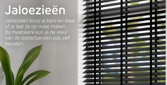 Praxis Jaloezieen aanbieding