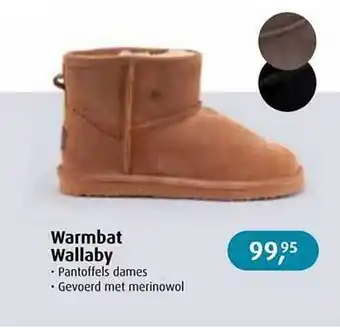 De Wit Schijndel Warmbat wallaby pantoffels dames aanbieding