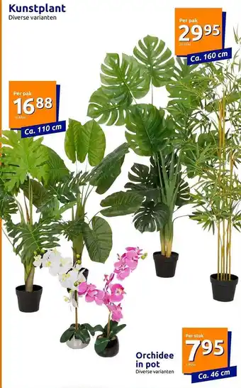 Action Kunstplant of orchidee in pot aanbieding