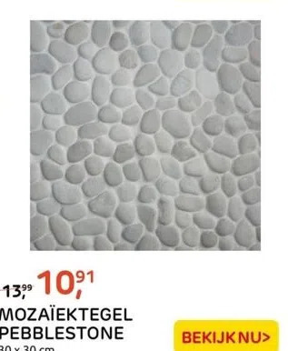 Praxis Mozaïektegel pebblestone 30 x 30 cm. aanbieding