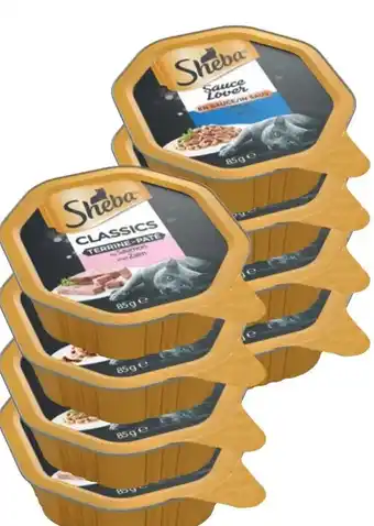 Ranzijn Sheba aanbieding