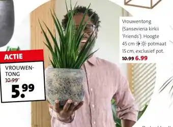 Intratuin Vrouwen-tong aanbieding