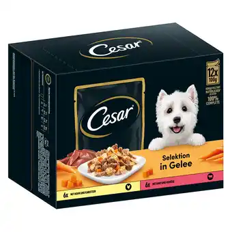 Zooplus 96x 100g cesar selektion fleisch und gemüse in gelee hundefutter nass aanbieding