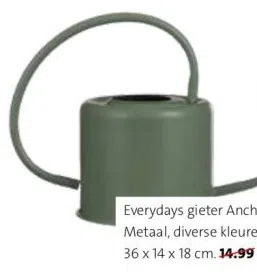 Intratuin Everydays gieter ancho. aanbieding
