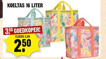 Dirck 3 Koeltas 16 Liter aanbieding