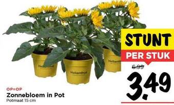 Vomar Voordeelmarkt Zonnebloem In Pot aanbieding