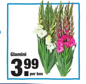 ALDI Galmini aanbieding