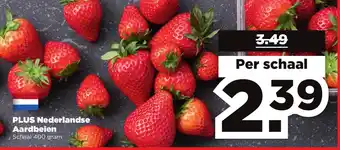 PLUS PLUS Nederlandse Aardbeien 400g aanbieding