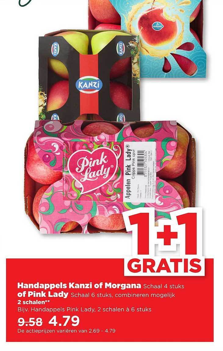 Handappels kanzi of of pink lady aanbieding bij PLUS