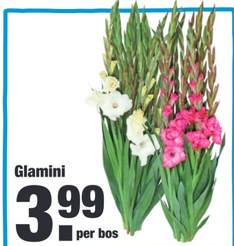 ALDI Glamini aanbieding