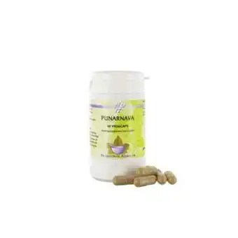 Vitamins Holisan punarnava 60 overig aanbieding