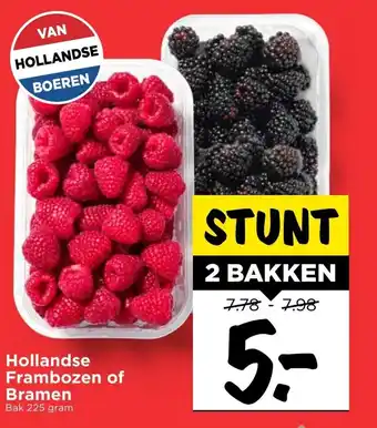 Vomar Voordeelmarkt Hollandse Frambozem of Bramen 225 gram aanbieding