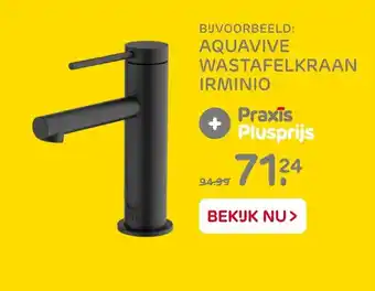 Praxis Aquavive wastafelkraan irminio aanbieding