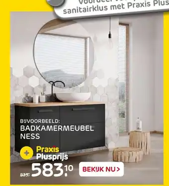 Praxis Badkamermeubel ness aanbieding