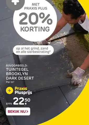 Praxis Tuintegel brooklyn dark desert aanbieding